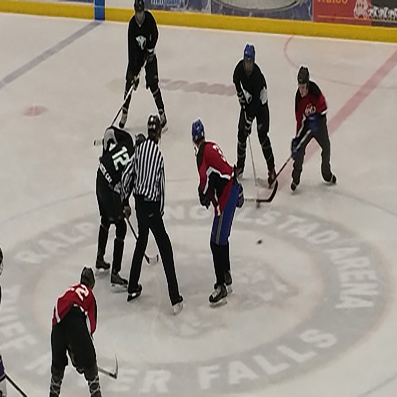 Papan Hoki Es Portabel